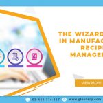 The Wizard of ERP in manufacturing recipes