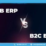 b2b erp VS b2c erp